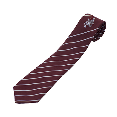 South Lee Abbey House Tie